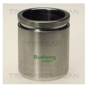 Kolben, Bremssattel 8170 234516 von TRISCAN günstig für 22,41 € online kaufen
