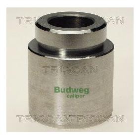Kolben, Bremssattel 8170 234519 von TRISCAN günstig für 23,43 € online kaufen