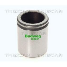 Kolben, Bremssattel 8170 234605 von TRISCAN günstig für 21,13 € online kaufen