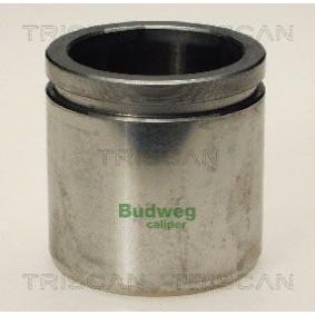 Kolben, Bremssattel 8170 234822 von TRISCAN günstig für 18,25 € online kaufen