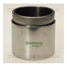 Kolben, Bremssattel 8170 234837 von TRISCAN günstig für 23,67 € online kaufen