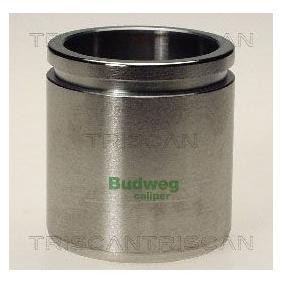 Kolben, Bremssattel 8170 234841 von TRISCAN günstig für 21,37 € online kaufen