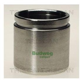 Kolben, Bremssattel 8170 234850 von TRISCAN günstig für 23,43 € online kaufen