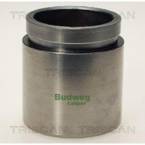 Kolben, Bremssattel 8170 234851 von TRISCAN günstig für 26,29 € online kaufen