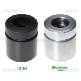 Kolben, Bremssattel 8170 234852 von TRISCAN günstig für 28,40 € online kaufen