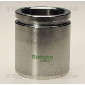 Kolben, Bremssattel 8170 234853 von TRISCAN günstig für 26,54 € online kaufen