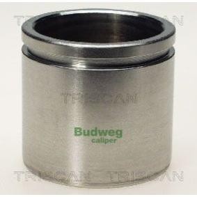 Kolben, Bremssattel 8170 235421 von TRISCAN günstig für 23,22 € online kaufen