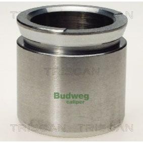 Comprar Émbolo, pinza del freno de TRISCAN 8170 235422 a bajo precio de 28,26 €