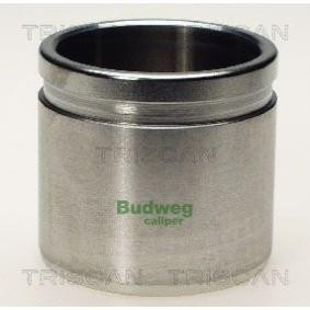 Kolben, Bremssattel 8170 235467 von TRISCAN günstig für 26,64 € online kaufen