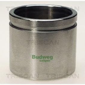 Kolben, Bremssattel 8170 235712 von TRISCAN günstig für 31,23 € online kaufen