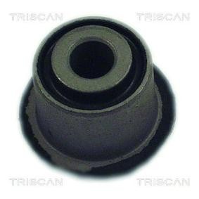 Lagerung, Lenker von TRISCAN