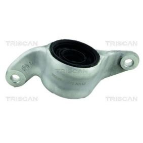 Acquista Supporto braccio oscillante da TRISCAN 8500 40804 a buon mercato per soli 58,71 €