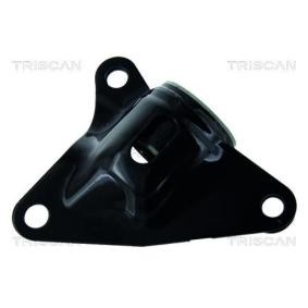 Acquista Supporto braccio oscillante da TRISCAN 8500 40805 a buon mercato per soli 34,03 €