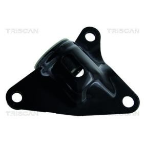 Acquista Supporto braccio oscillante da TRISCAN 8500 40806 a buon mercato per soli 34,03 €