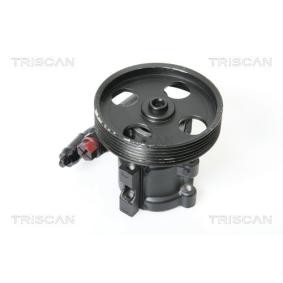 Achetez des Pompe de direction assistée TRISCAN 8515 15613 à prix pour 169,48 €