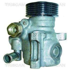 Servopumpe von TRISCAN