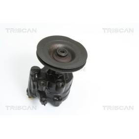 Servopumpe von TRISCAN 8515 25620