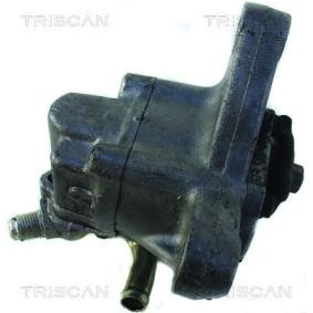 Compre Bomba de direção da TRISCAN 8515 40602 a um preço baixo por 266,34 €