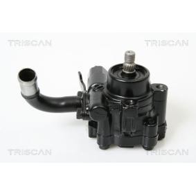 Compre Bomba de direção da TRISCAN 8515 50603 a um preço baixo por 360,91 €