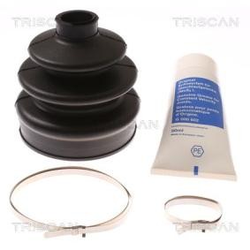 Acquista Kit cuffia, semiasse da TRISCAN 8540 80802 a buon mercato per soli 17,58 €