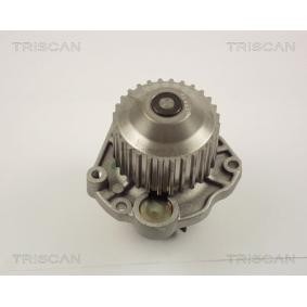 Wasserpumpe von TRISCAN