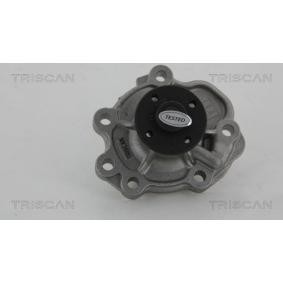 Wasserpumpe für NISSAN von TRISCAN