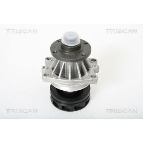 Wasserpumpe von TRISCAN