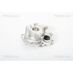 Wasserpumpe von TRISCAN