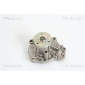 Wasserpumpe 8600 14014 von TRISCAN günstig für 55,70 € online kaufen