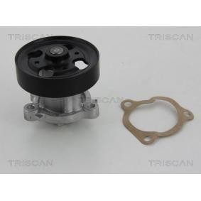 Wasserpumpe 8600 14018 von TRISCAN günstig für 103,90 € online kaufen