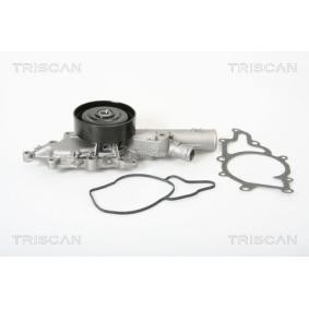 Wasserpumpe 8600 23041 von TRISCAN günstig für 109,78 € online kaufen