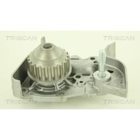 Acquista Pompa acqua da TRISCAN 8600 25009 a buon mercato per soli 60,69 €