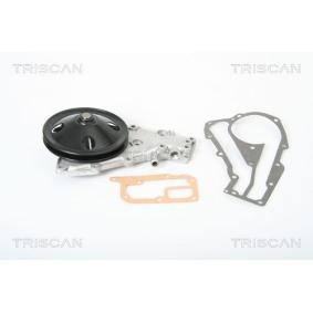 Wasserpumpe von TRISCAN