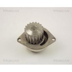 Wasserpumpe von TRISCAN