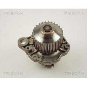 Wasserpumpe von TRISCAN