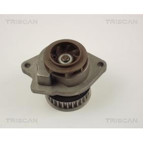 Wasserpumpe von TRISCAN