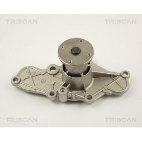 Wasserpumpe von TRISCAN