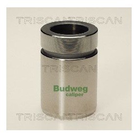 Temperaturschalter, Kühlerlüfter 8625 115092 von TRISCAN günstig für 23,05 € online kaufen
