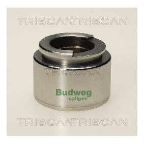 Temperaturschalter, Kühlerlüfter für PEUGEOT von TRISCAN