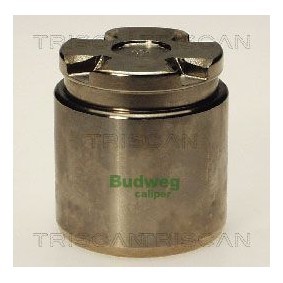 Temperaturschalter, Kühlerlüfter 8625 96110 von TRISCAN günstig für 11,93 € online kaufen