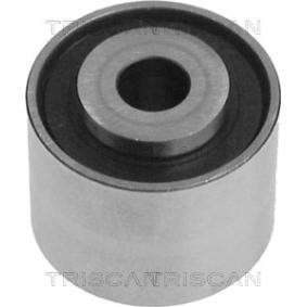 Umlenk- / Führungsrolle, Keilrippenriemen 8641 102002 von TRISCAN günstig für 21,36 € online kaufen
