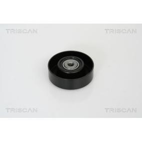 Umlenk- / Führungsrolle, Keilrippenriemen 8641 102027 von TRISCAN günstig für 66,11 € online kaufen