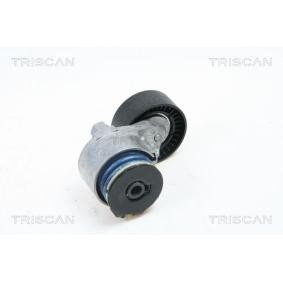 Spannarm, Keilrippenriemen 8641 103013 von TRISCAN günstig für 56,60 € online kaufen