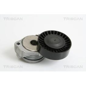 Spannrolle, Keilrippenriemen 8641 103026 von TRISCAN günstig für 78,42 € online kaufen
