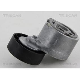 Spannarm, Keilrippenriemen 8641 103036 von TRISCAN günstig für 71,46 € online kaufen