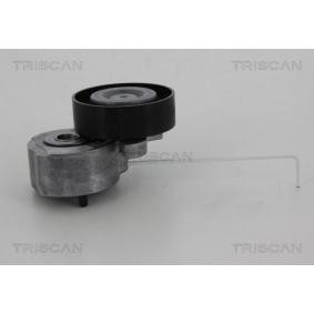 Spannrolle, Keilrippenriemen 8641 103037 von TRISCAN günstig für 97,14 € online kaufen