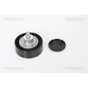 Umlenk- / Führungsrolle, Keilrippenriemen 8641 112008 von TRISCAN günstig für 40,42 € online kaufen