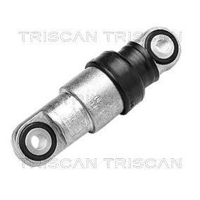 Schwingungsdämpfer, Keilrippenriemen 8641 113002 von TRISCAN günstig für 76,61 € online kaufen