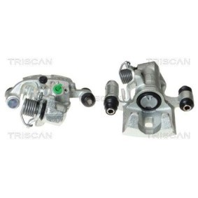 Schwingungsdämpfer, Keilrippenriemen 8641 113012 von TRISCAN günstig für 62,57 € online kaufen
