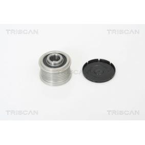 Lichtmaschine, Ersatzteile des Herstellers TRISCAN - Originalware Artikelnummer: 8641 114002